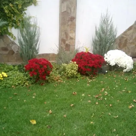 Kostandi Street Holiday home